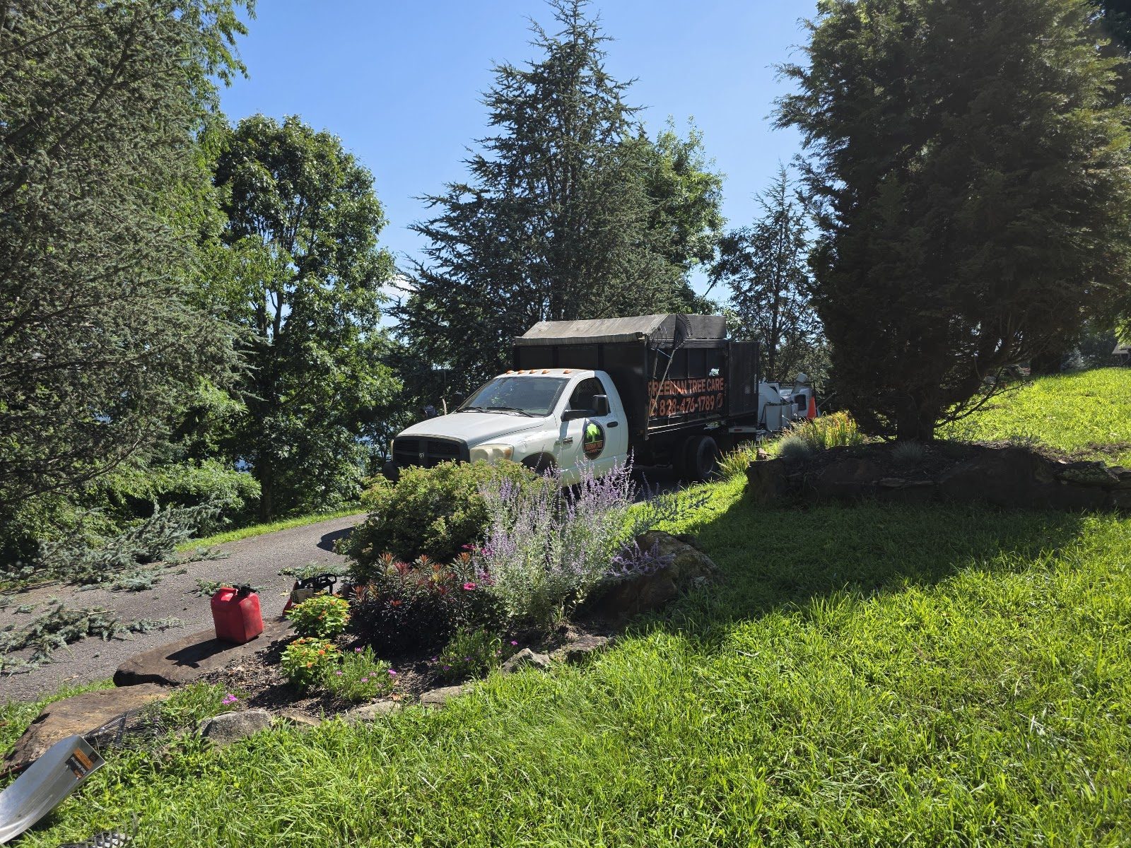 Freeman Tree Care work truck and trailer at a hillside home