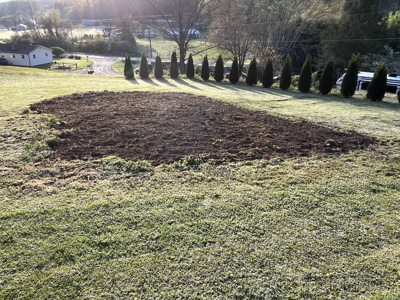 Freshly graded yard bed beside a row of evergreens