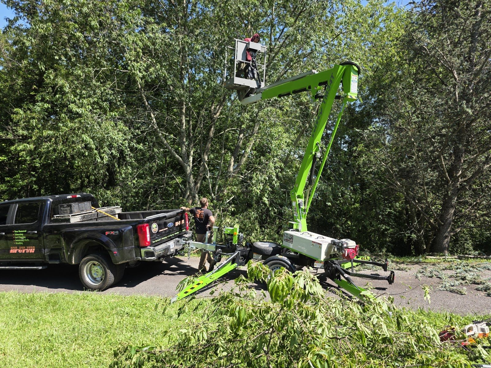 Freeman Tree Care lift working on a tree beside the work truck